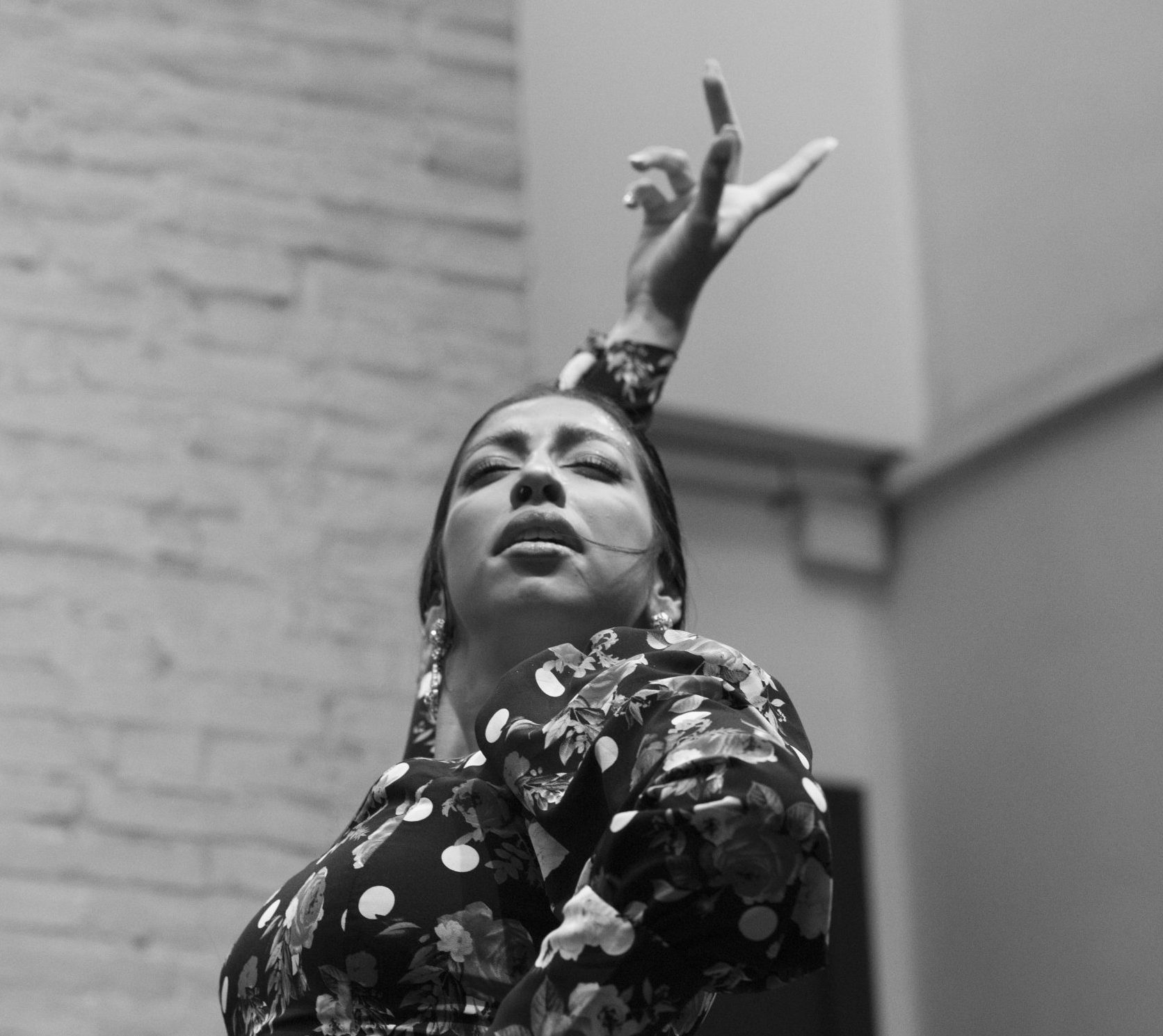 Espectacle Tablao de Carmen<br>16 novembre