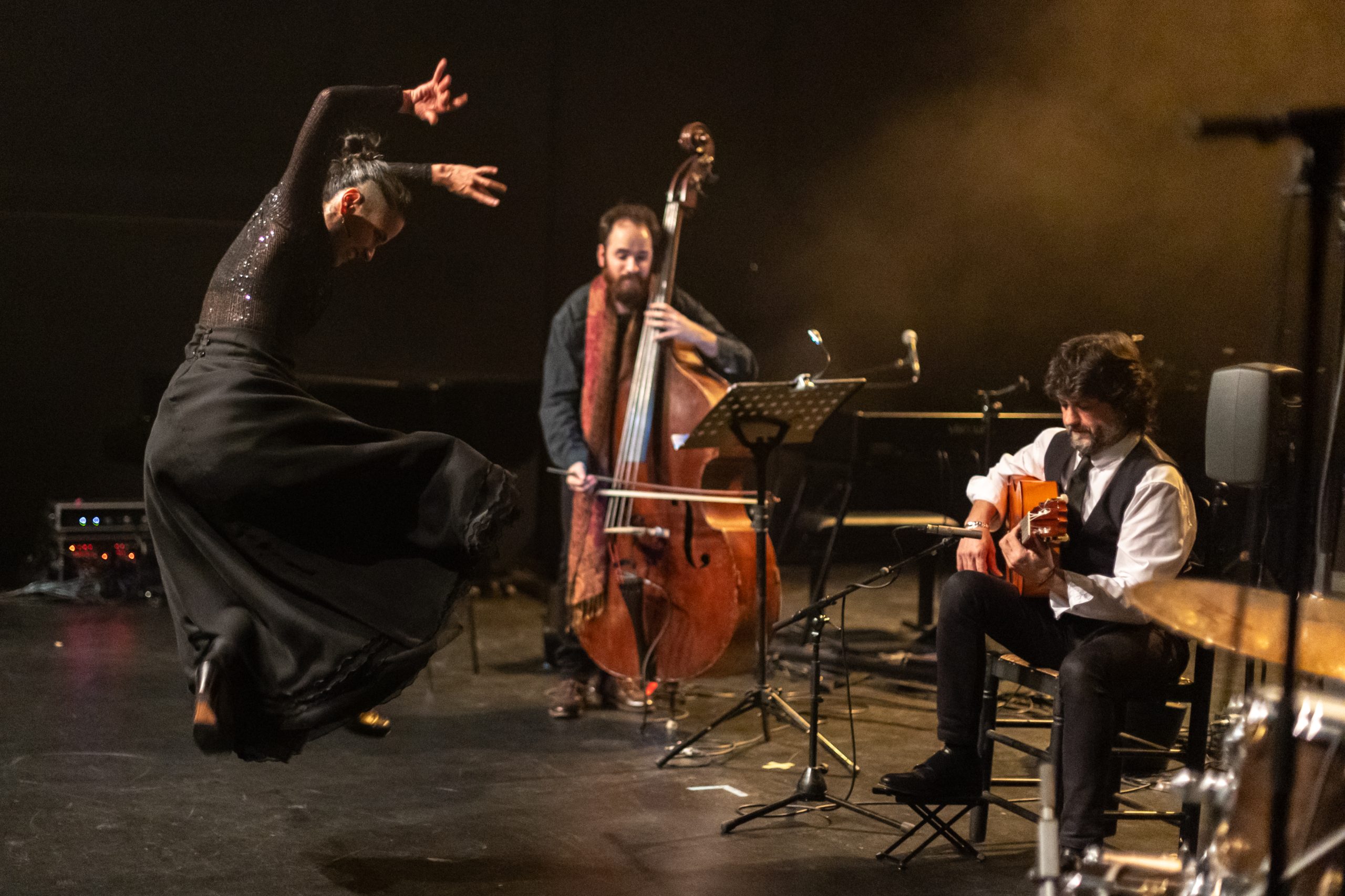 Chicuelo «Caminos»<br>29 novembre